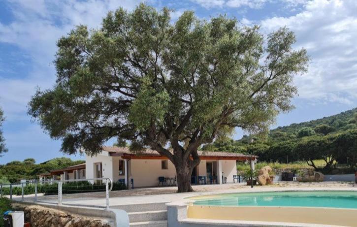 Hotel Pranos Turismo Rurale كالا غونوني المظهر الخارجي الصورة